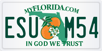 FL license plate ESUM54