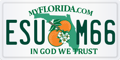 FL license plate ESUM66