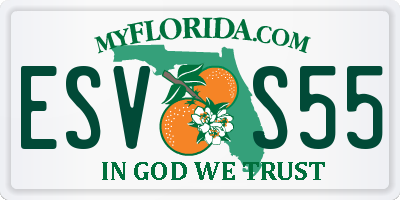 FL license plate ESVS55