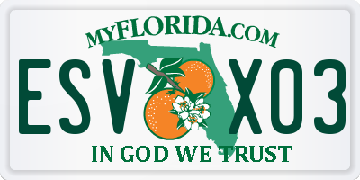 FL license plate ESVX03