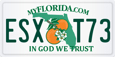 FL license plate ESXT73