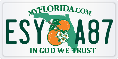 FL license plate ESYA87
