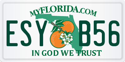 FL license plate ESYB56