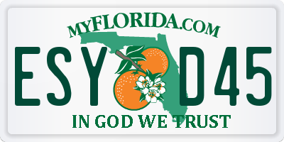 FL license plate ESYD45