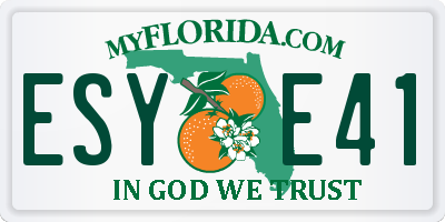 FL license plate ESYE41