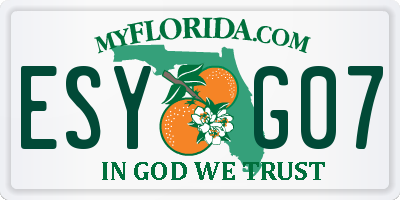 FL license plate ESYG07