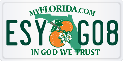 FL license plate ESYG08