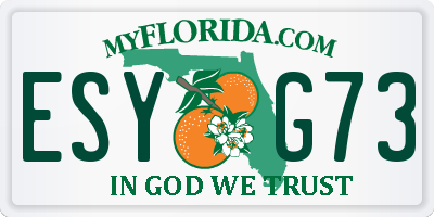 FL license plate ESYG73
