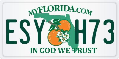 FL license plate ESYH73
