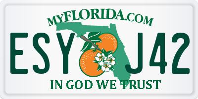 FL license plate ESYJ42