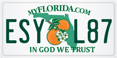 FL license plate ESYL87