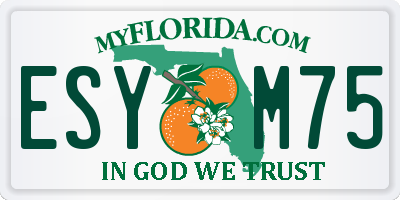 FL license plate ESYM75
