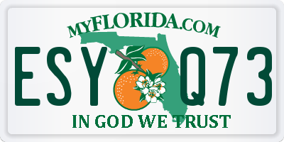 FL license plate ESYQ73
