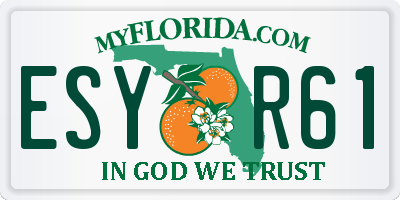 FL license plate ESYR61