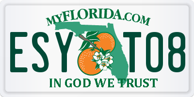 FL license plate ESYT08