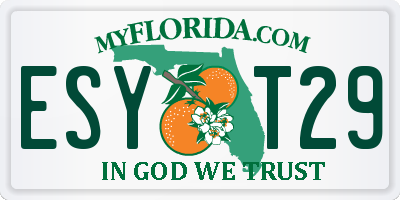 FL license plate ESYT29