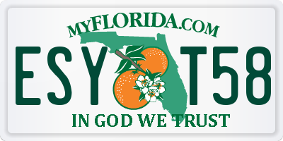 FL license plate ESYT58