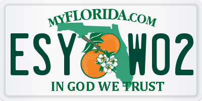 FL license plate ESYW02