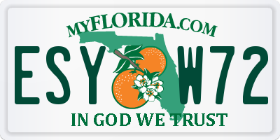 FL license plate ESYW72