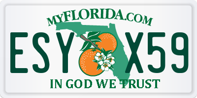 FL license plate ESYX59