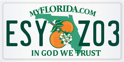 FL license plate ESYZ03