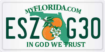 FL license plate ESZG30