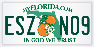 FL license plate ESZN09