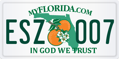 FL license plate ESZO07