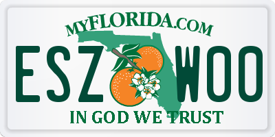 FL license plate ESZW00