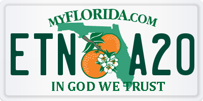 FL license plate ETNA20