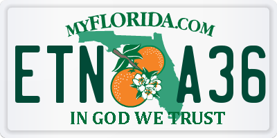 FL license plate ETNA36