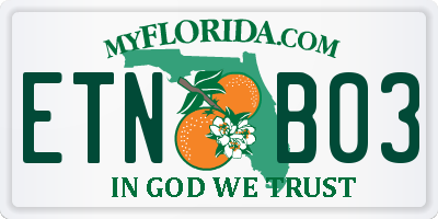 FL license plate ETNB03