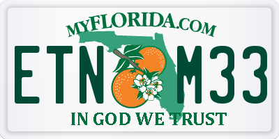 FL license plate ETNM33