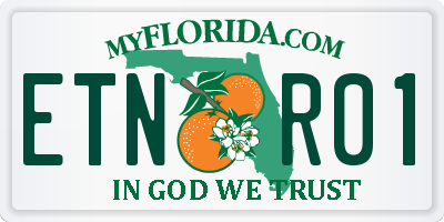 FL license plate ETNR01