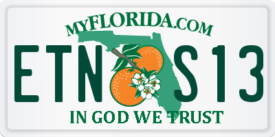 FL license plate ETNS13