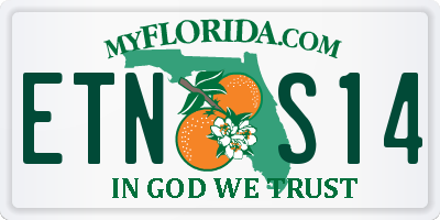 FL license plate ETNS14