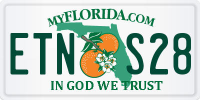 FL license plate ETNS28