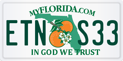 FL license plate ETNS33