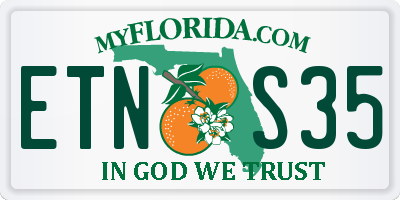 FL license plate ETNS35