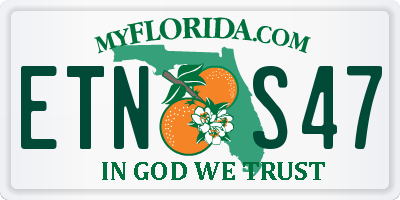FL license plate ETNS47