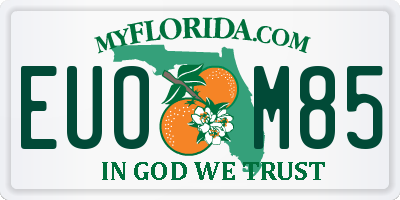 FL license plate EUOM85