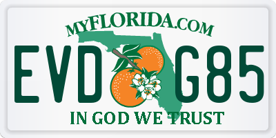 FL license plate EVDG85