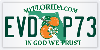 FL license plate EVDP73