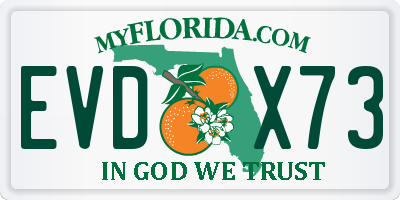 FL license plate EVDX73
