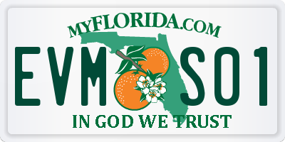 FL license plate EVMS01