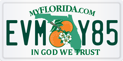 FL license plate EVMY85