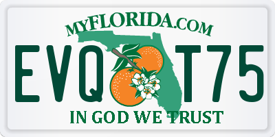 FL license plate EVQT75