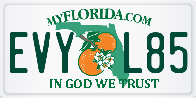 FL license plate EVYL85