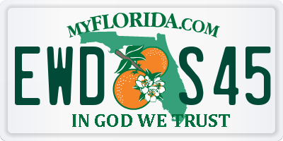 FL license plate EWDS45