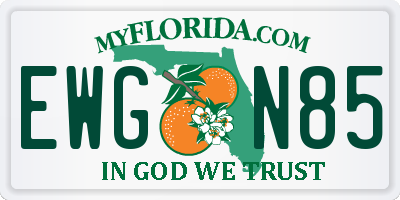 FL license plate EWGN85